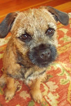 Lola